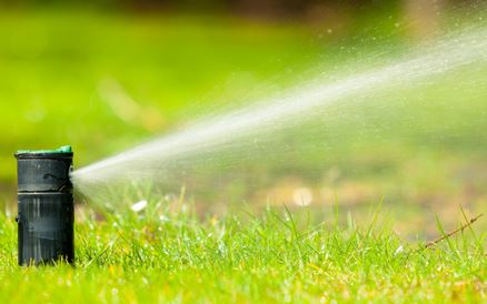 Sprinkler Design & Installation